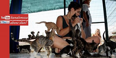 Adana Büyükşehir Belediyesi Sokak Hayvanları Bakımevi’nin Avrupalı misafirleri çeşitli konularda bilgi aldı.