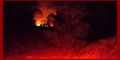 Adana'da gece çıkan orman yangını kontrol altına alındı