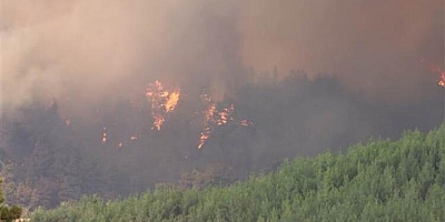 Son dakika haberleri: Adana'da çıkan yangında 8 hektarlık ormanlık alan zarar gördü